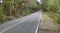 Curvy mountain road in autumn, eastern Oklahoma