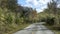 Curvy mountain road in autumn, eastern Oklahoma