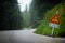 Curvy mountain road with slippery route sign