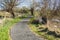 Curvy path at Floodplain Forest on sunny morning