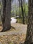 Curvy path through nature preserve