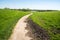 Curvy path with some mud in hilly landscape on sunny day