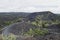 Curvy pathway through Mount Etna, surrounded by bushes and sand