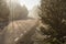 Curvy pedestrian lane with man silhouette on fog morning