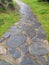 Curvy Road in Garden Natural Scene