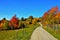 Curvy roadway winding through a forested area covered wit autumn colorful foliage