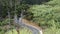 curvy serpentine roads on teide volcano