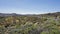 curvy serpentine roads on teide volcano