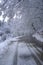 Curvy snow-covered road in winter across the winter forest. Dangerous driving season. Transport insurance. Vertical