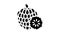 custard apple fruit glyph icon animation