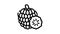 custard apple fruit line icon animation