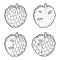 Custard Apple Vector Illustration Hand Drawn Fruit Cartoon Art