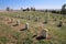 Custer National Cemetery at Little Bighorn Battlefield National