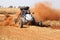 Custom single seater rally buggy kicking up trail of dust on san