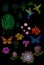 Custom tropic flower design. Set isolated exotic flower leaves plant, hummingbird butterfly. Monstera palm hibiscus