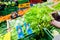 Customer buying salad and vegetables at market booth