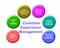 Customer Experience Management