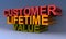 Customer lifetime value