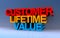 customer lifetime value on blue
