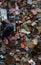 Customer walking over books on a flea market