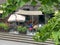 Customers enjoying coffee and drinks at a terrace of coffee shop