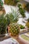 Customers hand holding a pineapple in grocery store, choosing exotic fruits in supermarket
