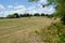 A Cut and Baled Hay Meadow In East Texas