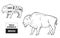 Cut of Bison set. Poster Butcher diagram - Bison. Vintage typographic hand-drawn.