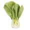 Cut Bok Choy Isolated