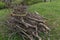 Cut branches stack pile heap mound wood