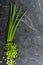 The cut bundle of green onions on a background of black slate. Space for text.