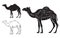 Cut of camel set. Poster Butcher diagram - desert-ship. Vintage typographic hand-drawn.