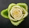 Cut celery as a close up detail, has a rose like appearance.