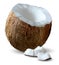 Cut coconut and several pieces of it on a white background. 3D vector. High detailed realistic illustration