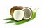 Cut coconut shell with fresh organic coconut kernel.