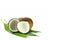 Cut coconut shell with fresh organic coconut kernel.
