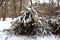 cut down branches covered with snow piled in a heap in the Park