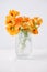 Cut edible multicolored nasturtium flowers in a glass Cup on white background