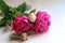 Cut flowers, peonies of two colors, light and dark pink peony, fragrant flowers, peonies