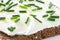 Cut fresh chives on thickly spread cream cheese on dark health bread