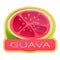 Cut fresh guava logo, cartoon style