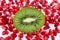 The cut fruit kiwi against garnet grains