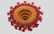 Cut in half and inside virus.  Pathogen respiratory influenza covid virus cells. New official name for Coronavirus disease named