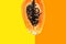 Cut in half ripe juicy papaya on duotone yellow orange background. pink. Tropical fruits healthy plant based diet summer fun