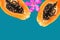 Cut in half ripe juicy papaya pink frangipani flower on blue turquoise background. Tropical fruits summer