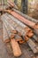 Cut and halved palm trunks with bark. Wood ready for further manual processing. Freshly felled palm trees folded in tropical natur