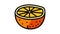 cut juicy orange color icon animation