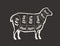 Cut of lamb meat drawn on the blackboard. Menu for restaurant or butcher shop. Vector