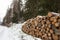 Cut logs lumber winter snow covered