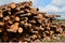 Cut logs stacked